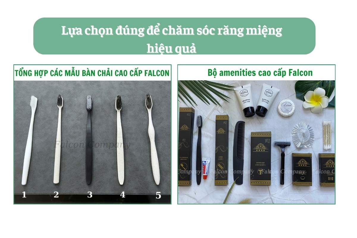 Lựa chọn đúng để chăm sóc răng miệng hiệu quả