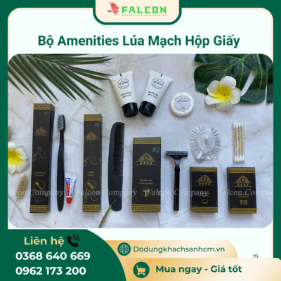 Bộ bàn chải đánh răng cao cấp đóng hộp giấy