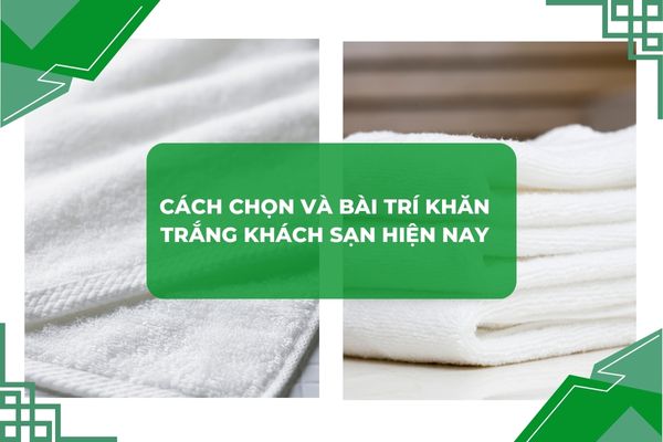 Khăn trắng khách sạn, cao cấp, hiện đại