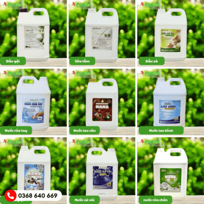 Can dung dịch 10L cho khách sạn: can dầu gội, can sữa tắm, nước rửa tay..